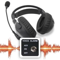 Voice/Audio